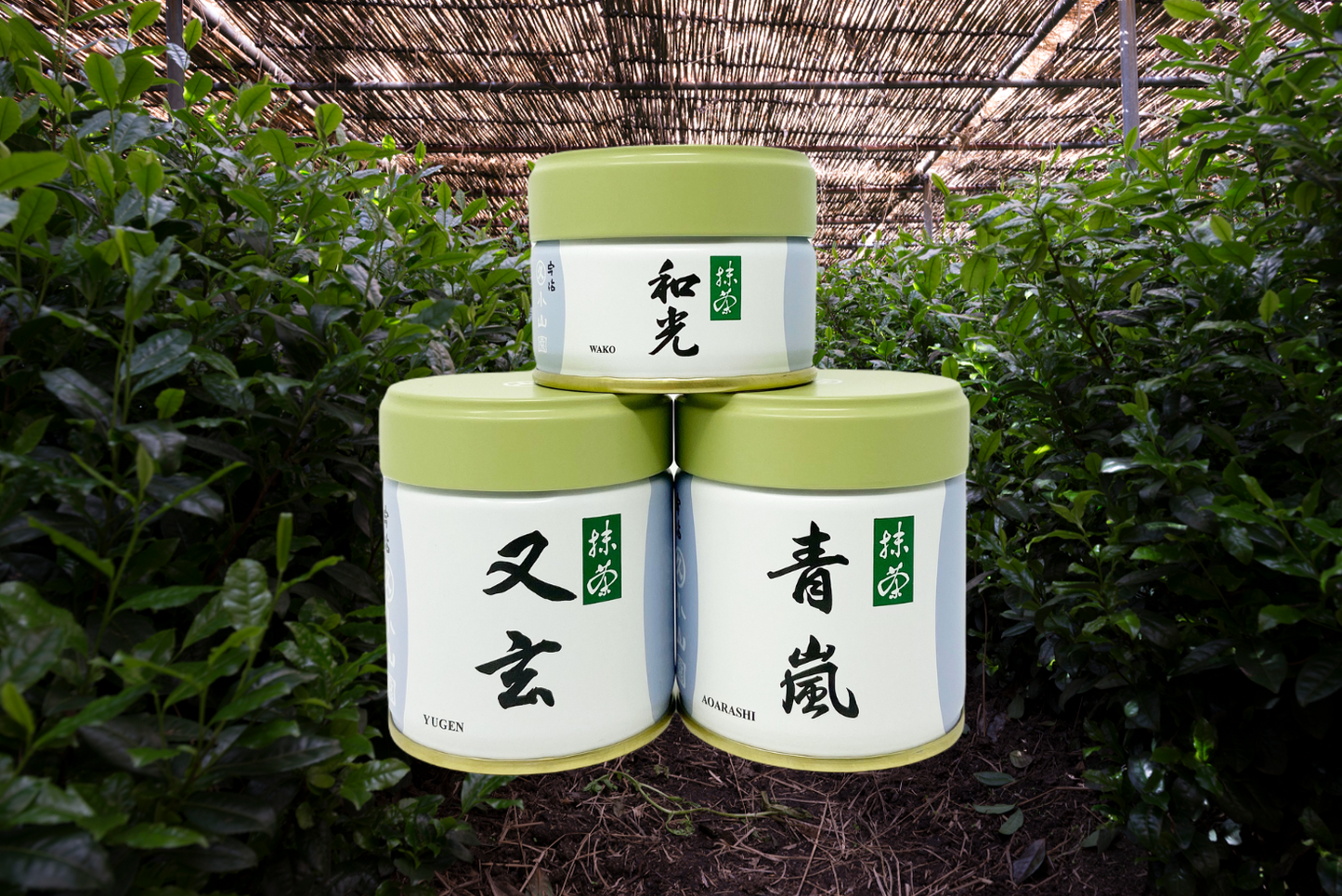 Premium Matcha Set – 3 types of Matcha!