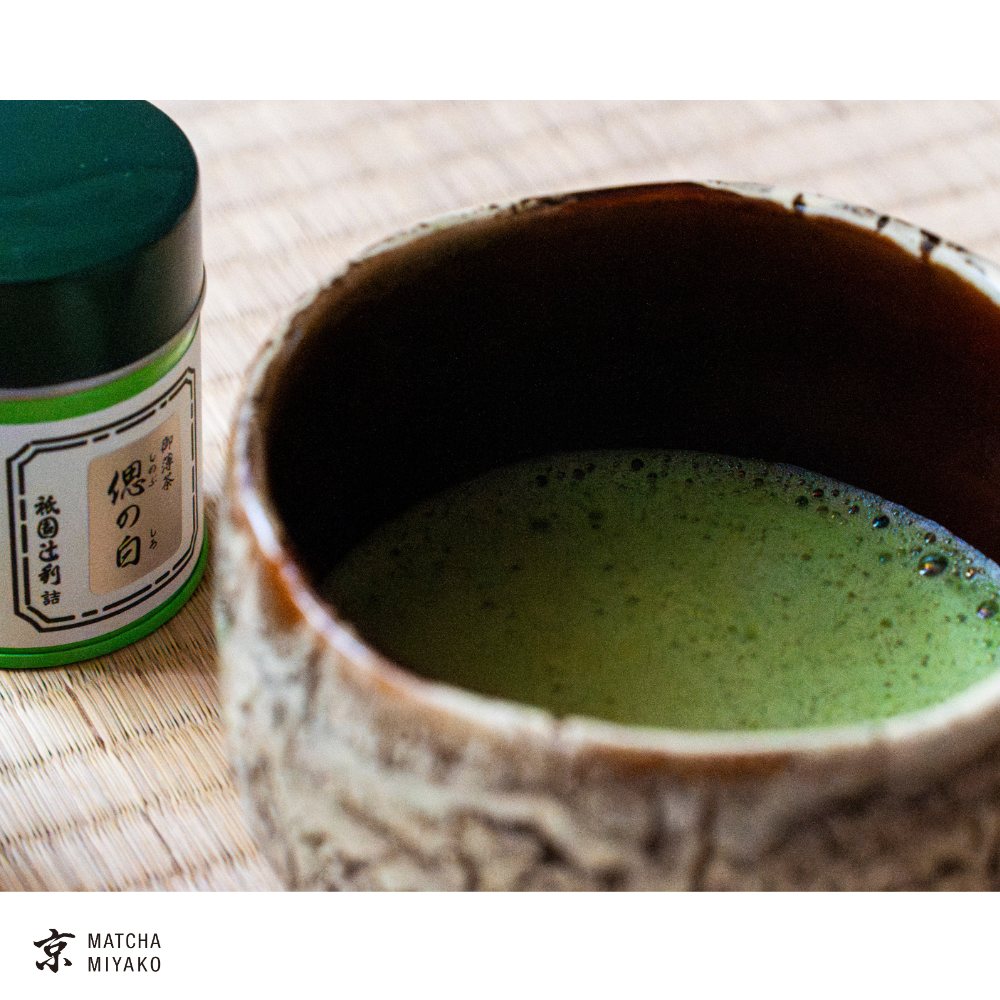 Shinobu no Shiro 40gr matcha teapor