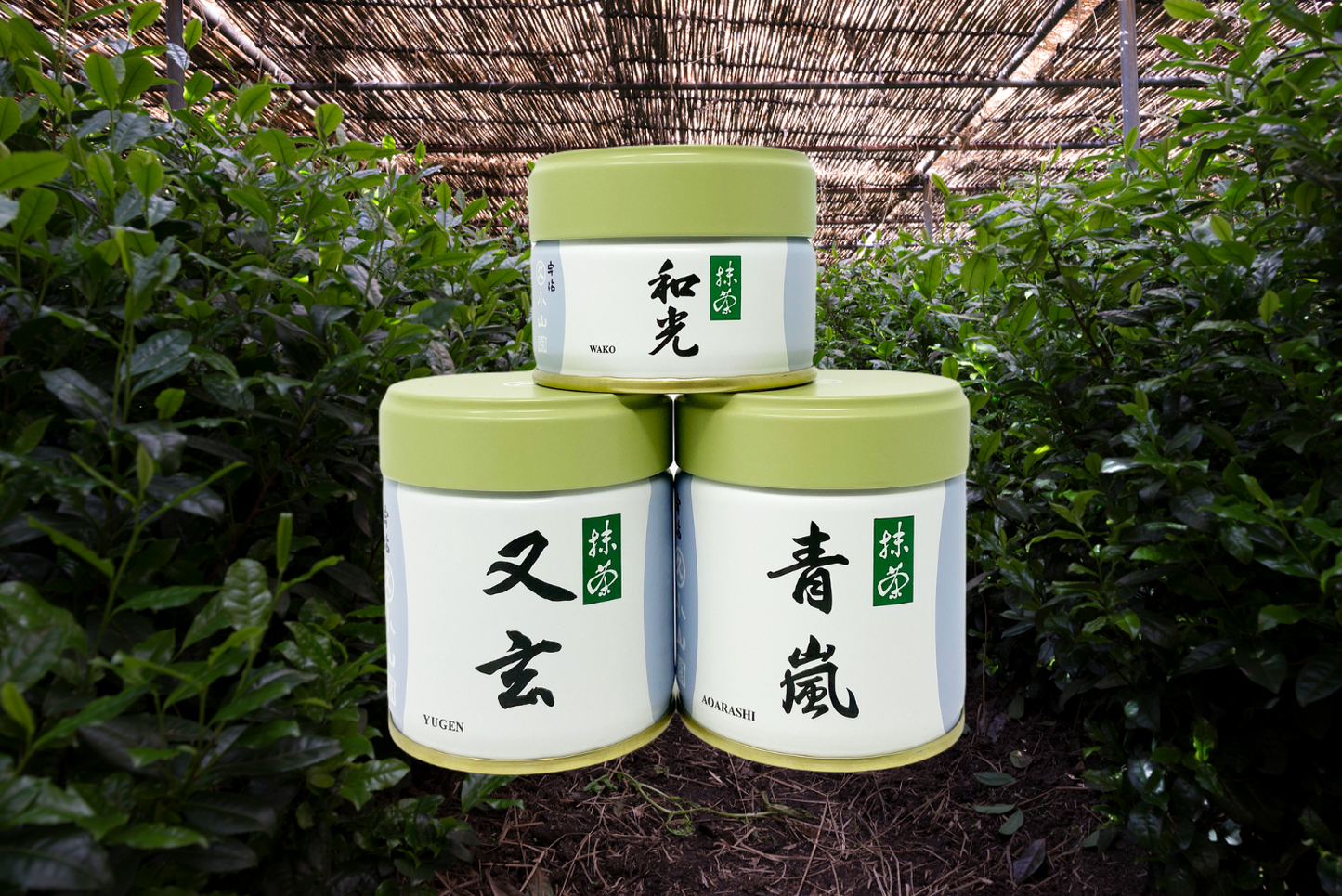 Premium Matcha Set – 3 types of Matcha! 